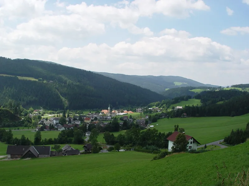 Blick über das grüne Tal von Rettenegg mit Wiesen, Häusern und bewaldeten Bergen.